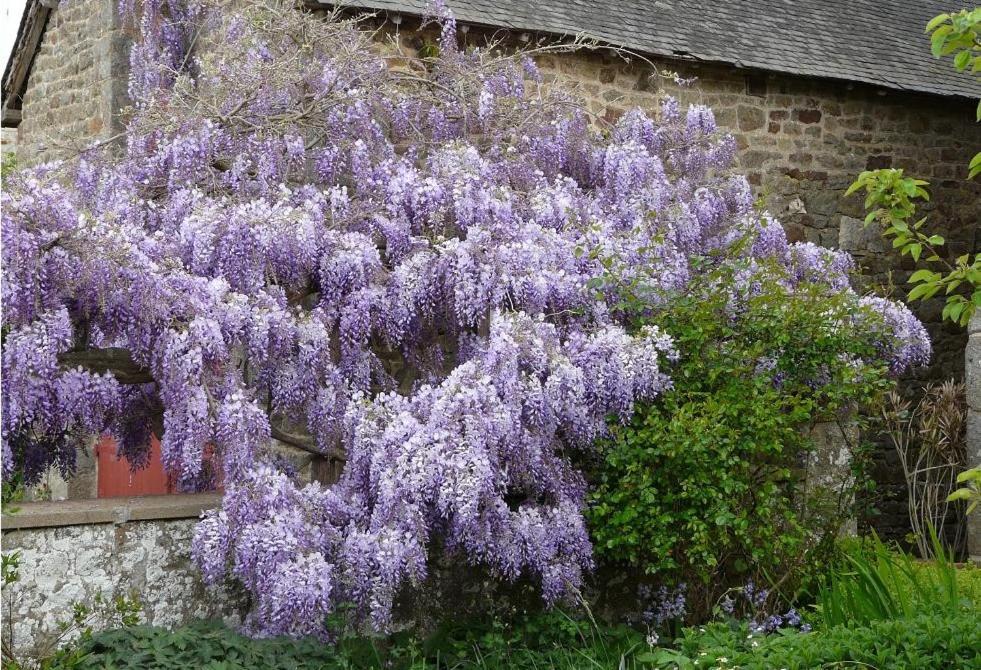 Le Clos Des Anges Dingé Exteriör bild